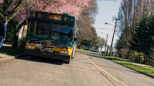 Metro Route 31